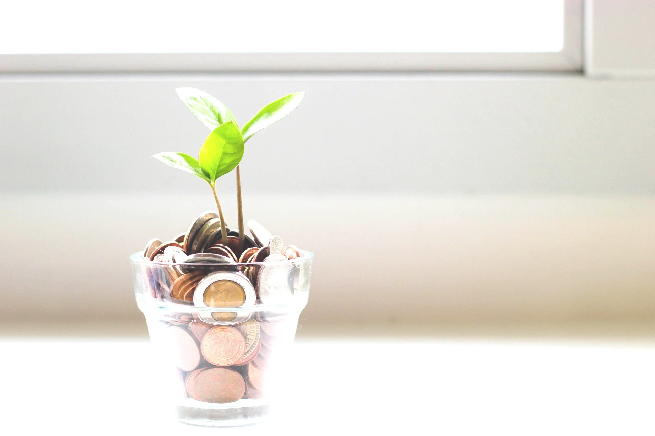 Moon Executive Search Executive Search & Selection Recruitment