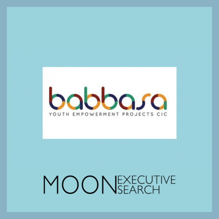 Babbasa: Multiple Non-Executive Directors