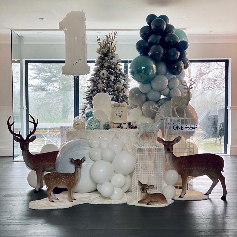 Winter ONEderland ❄️🤍 A Christmas set for a special 1st Birthday xxx