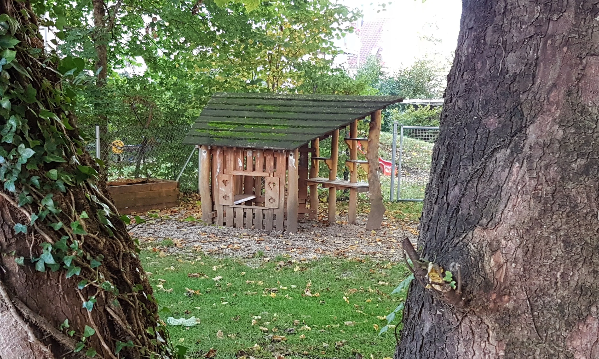 20171005_085253.jpg