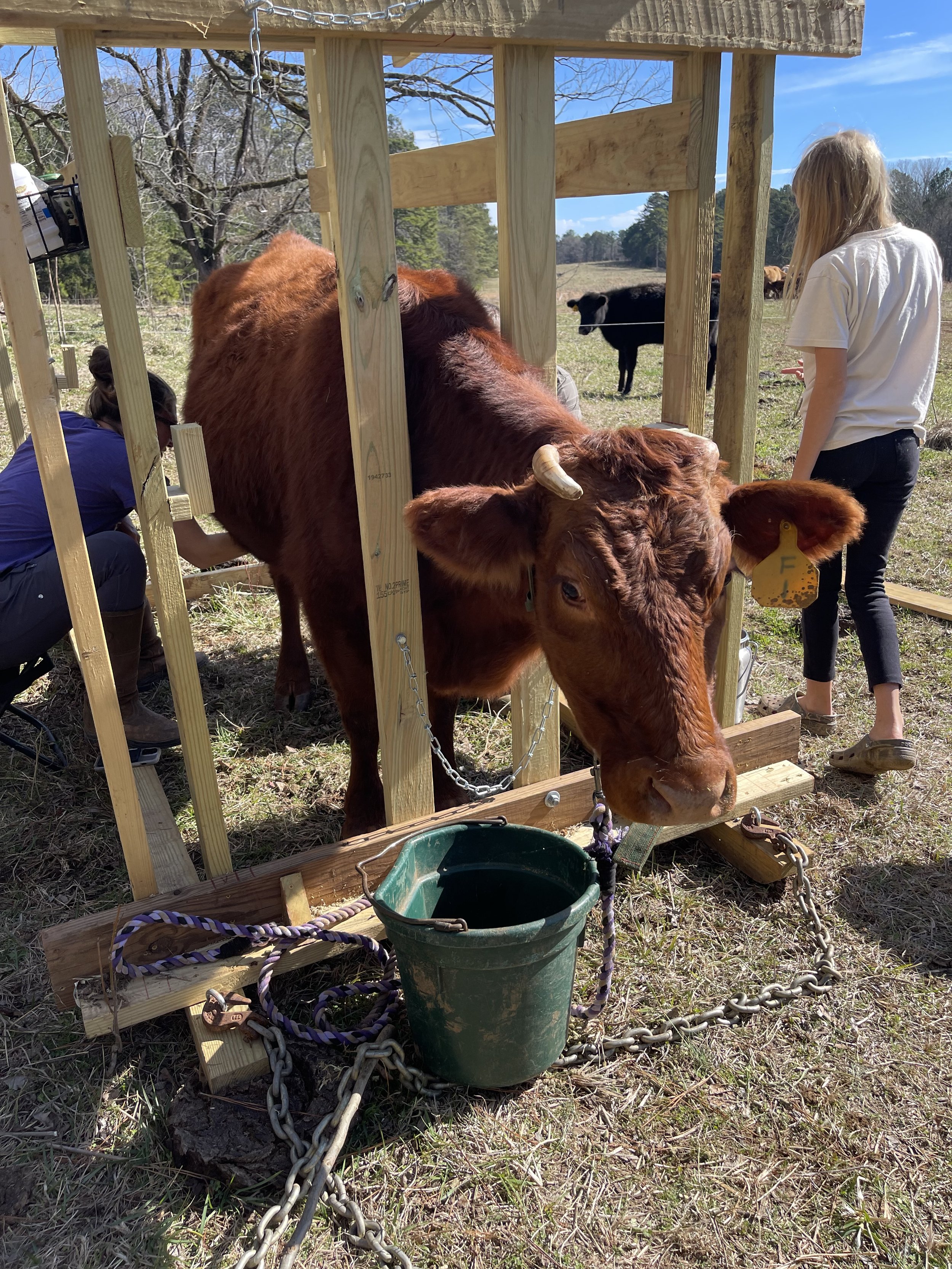 Oak Spring Farms Story  Purina Animal Nutrition