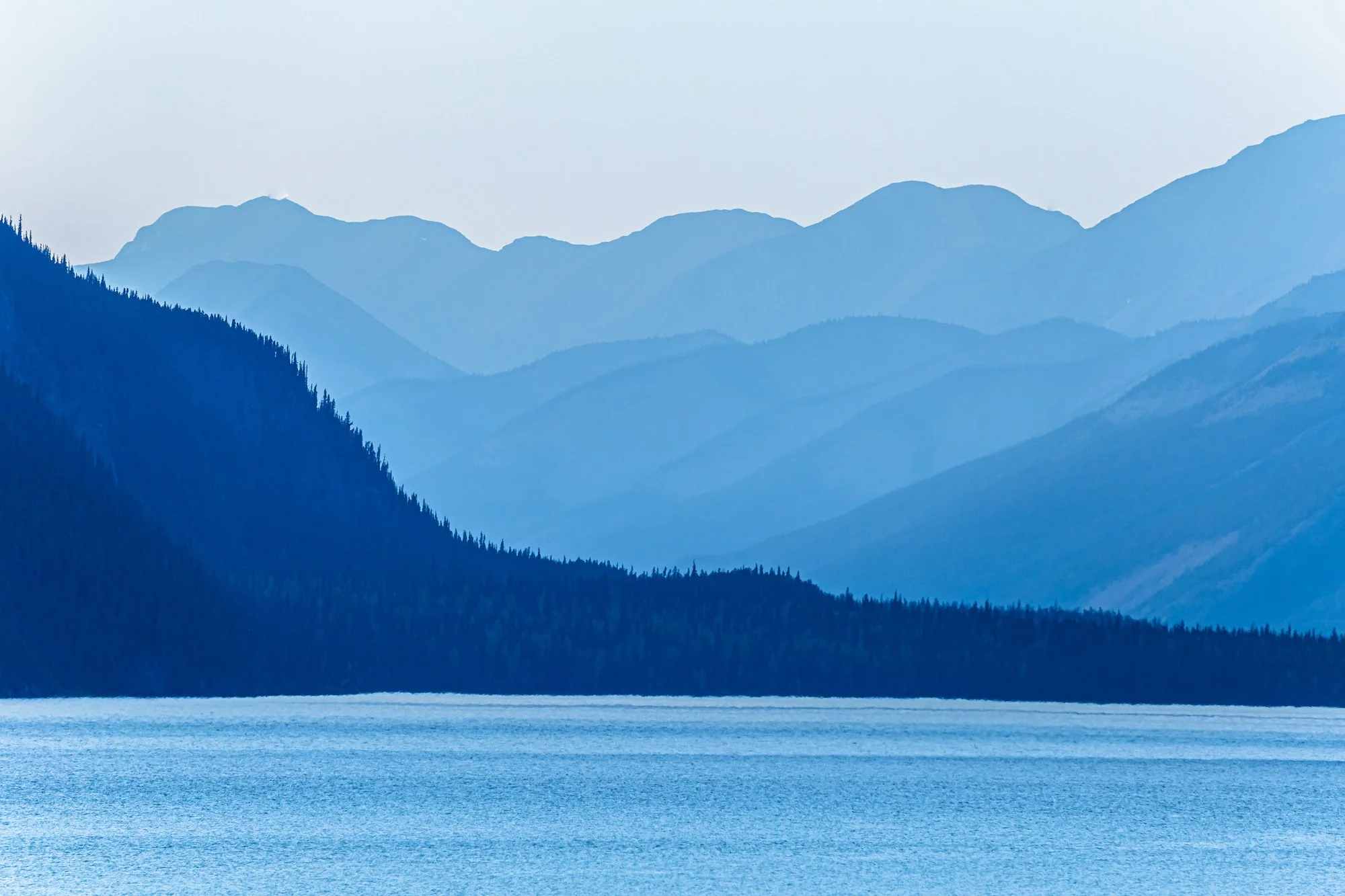 AdobeStock_291777691.jpeg
