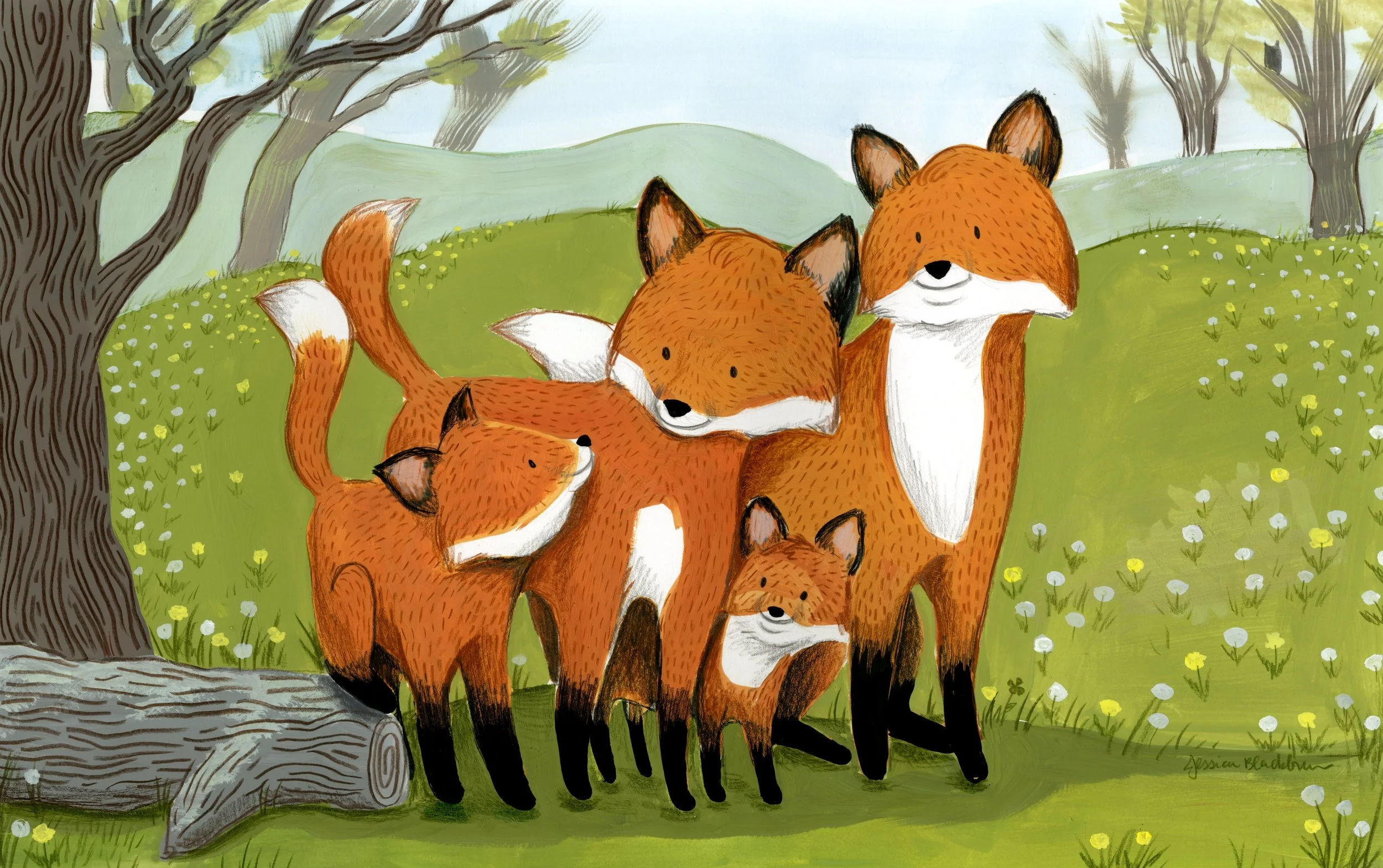 Fox Family of Four