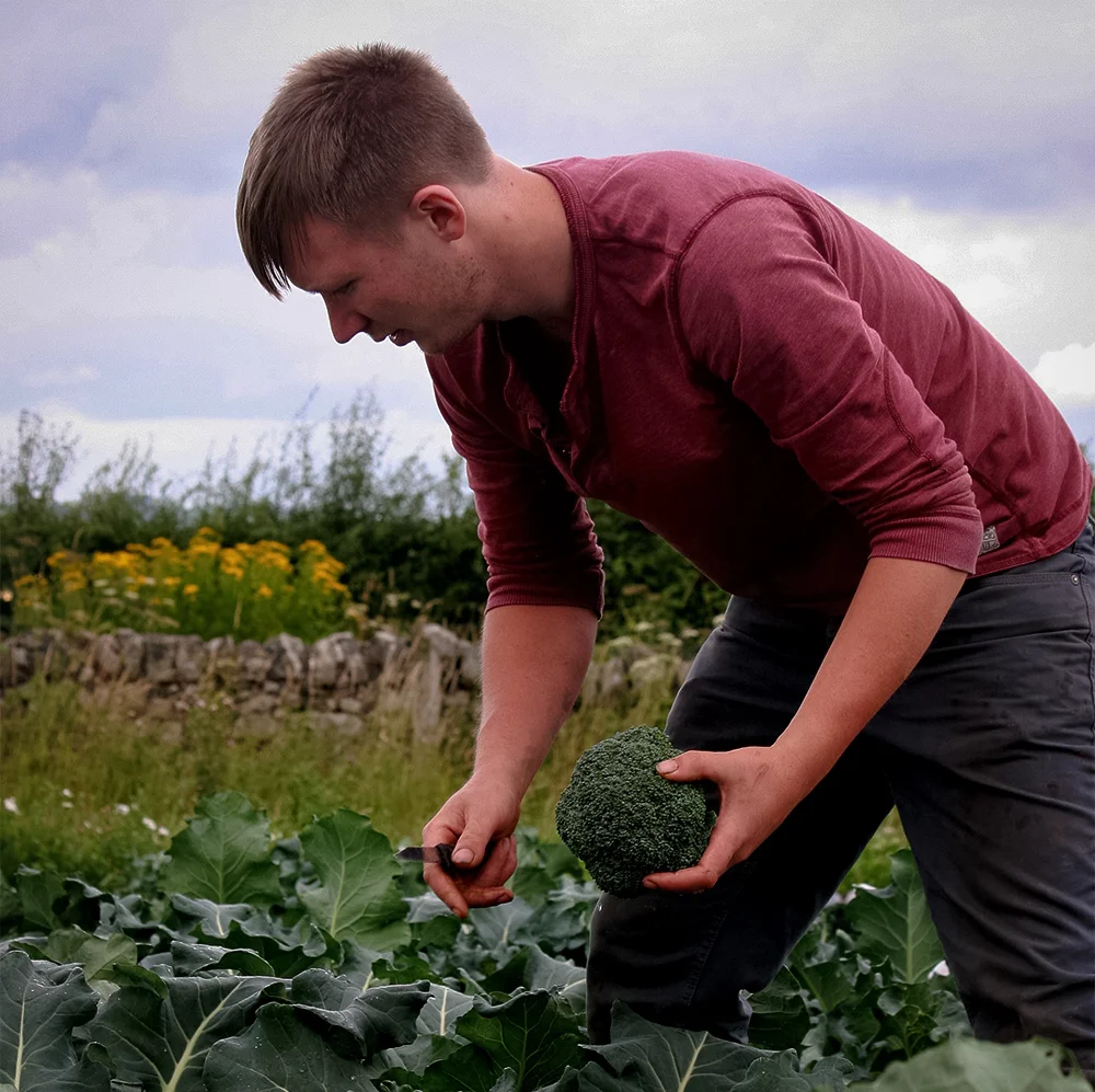 nat harvesting broccoli-2.jpg