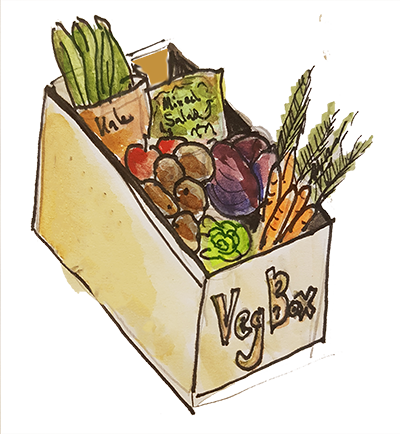 veg box 2.png