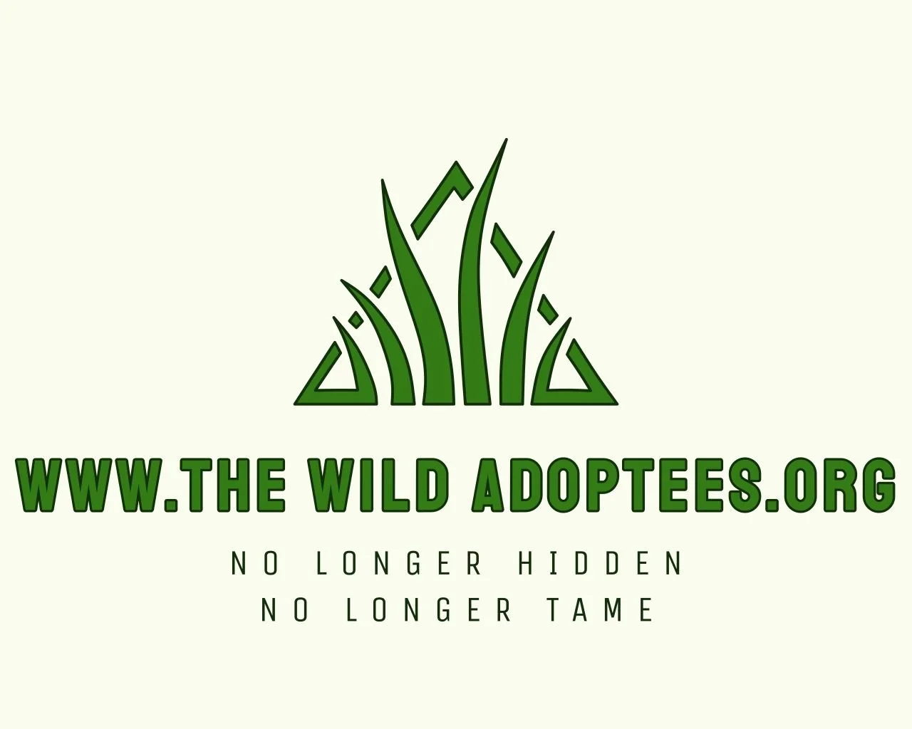 Nature retreats and wellbeing workshops: The Wild Adoptees