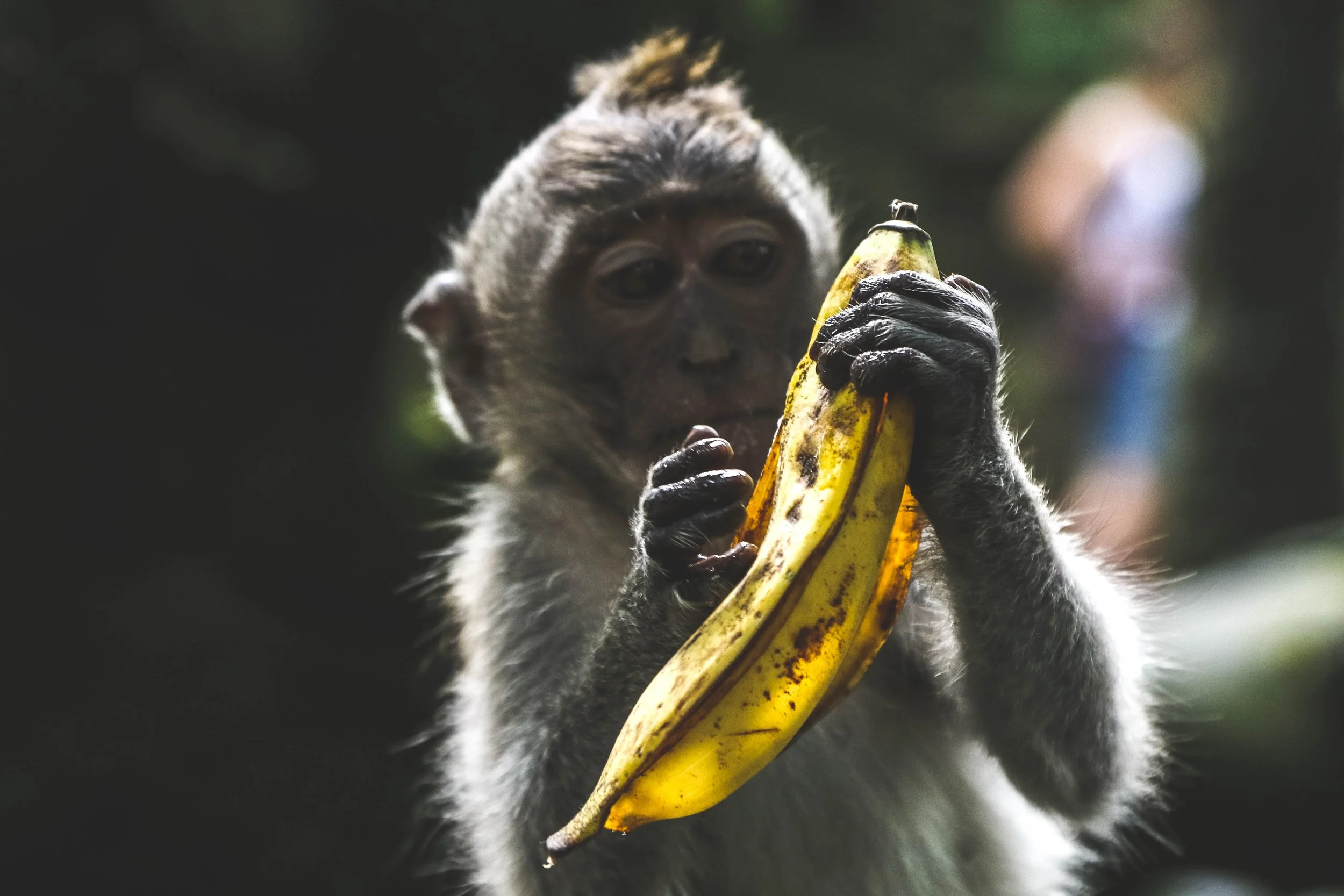 Photo by Jeremy Bishop on Unsplash