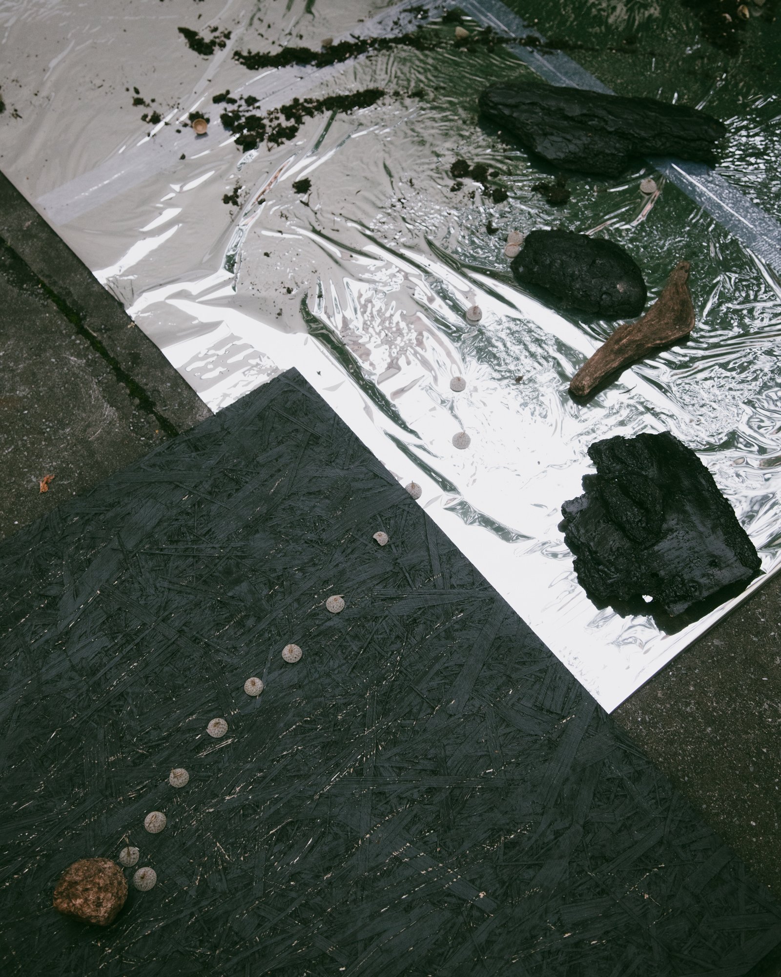 05-09 Runa_@alicestellaph82.jpg