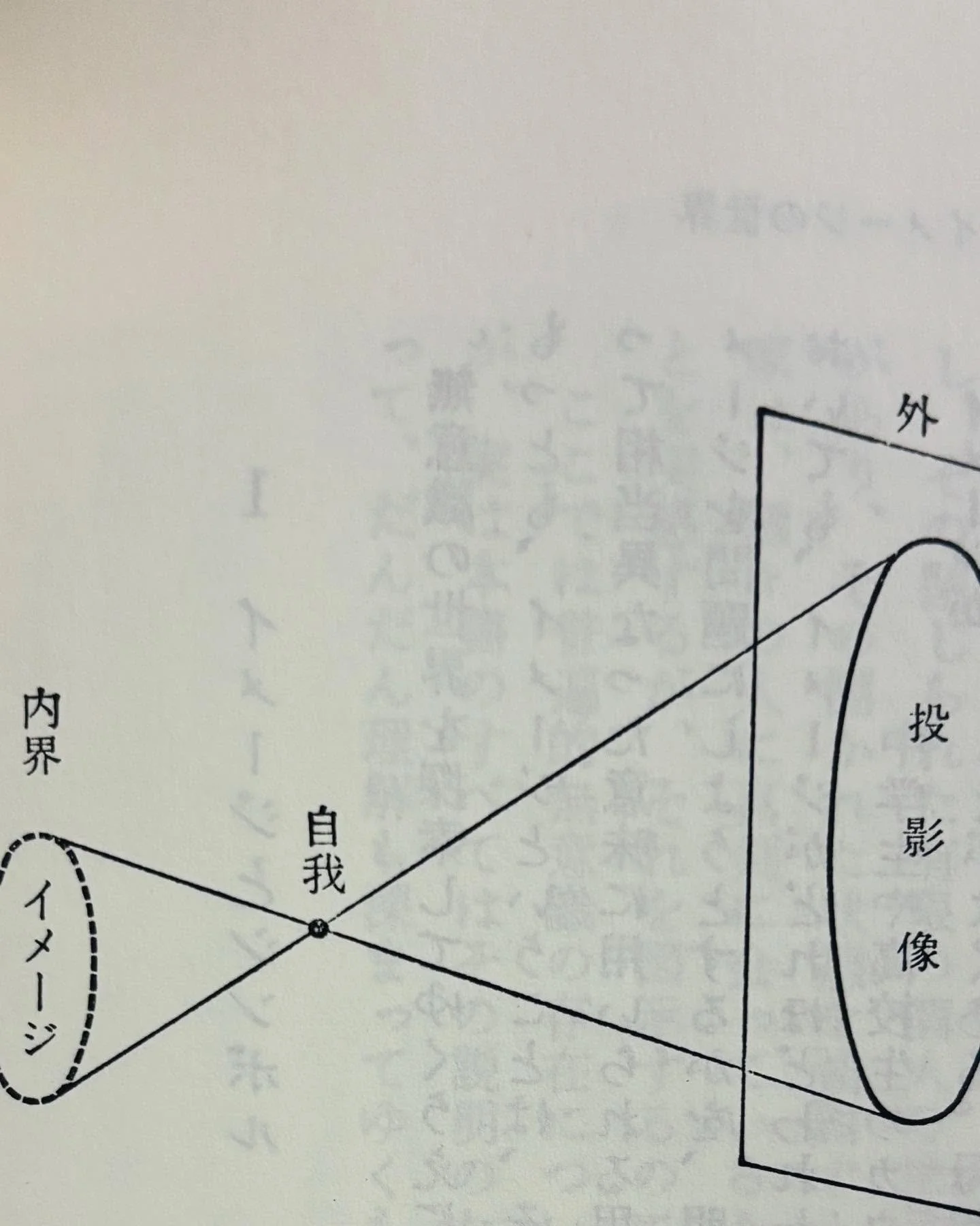 489008131_18470835937069553_2720147857652098027_n.jpg