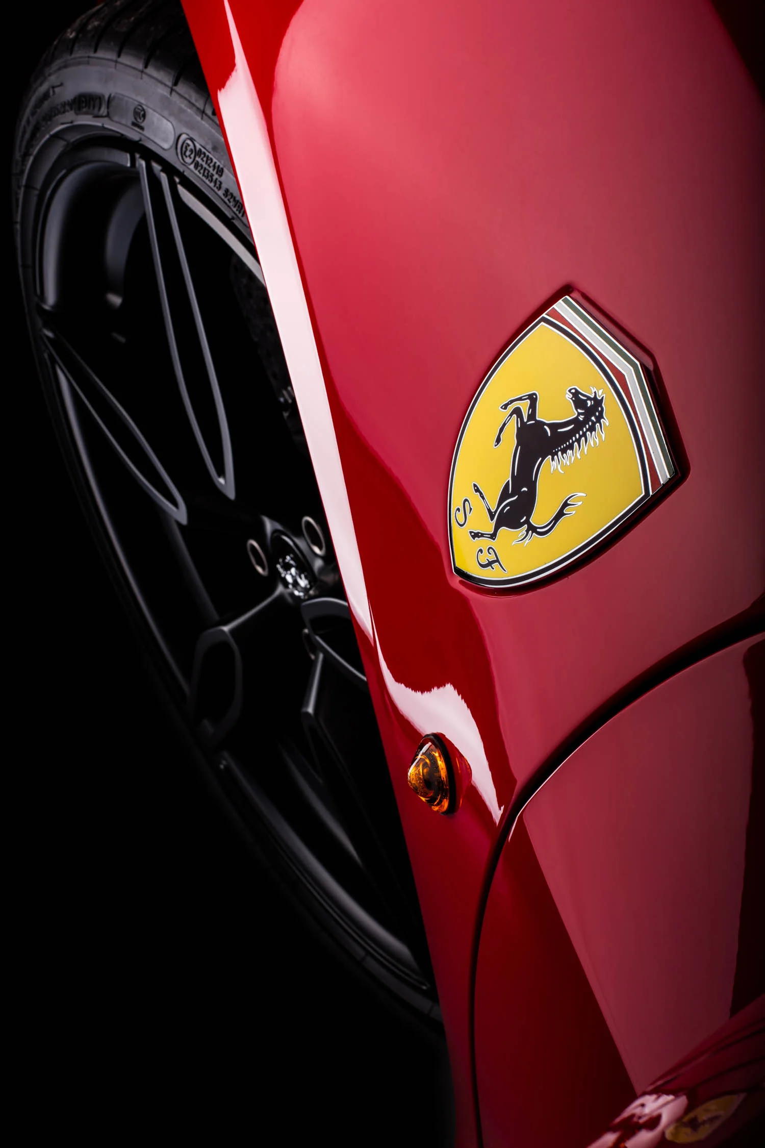 2C8A5340.jpg