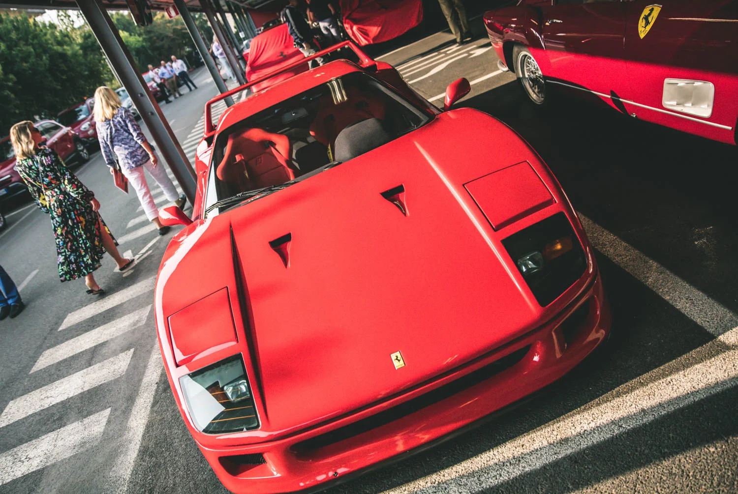 2C8A7803.jpg