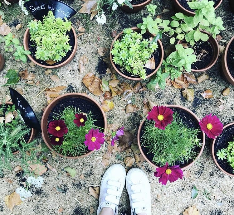 plants.jpg
