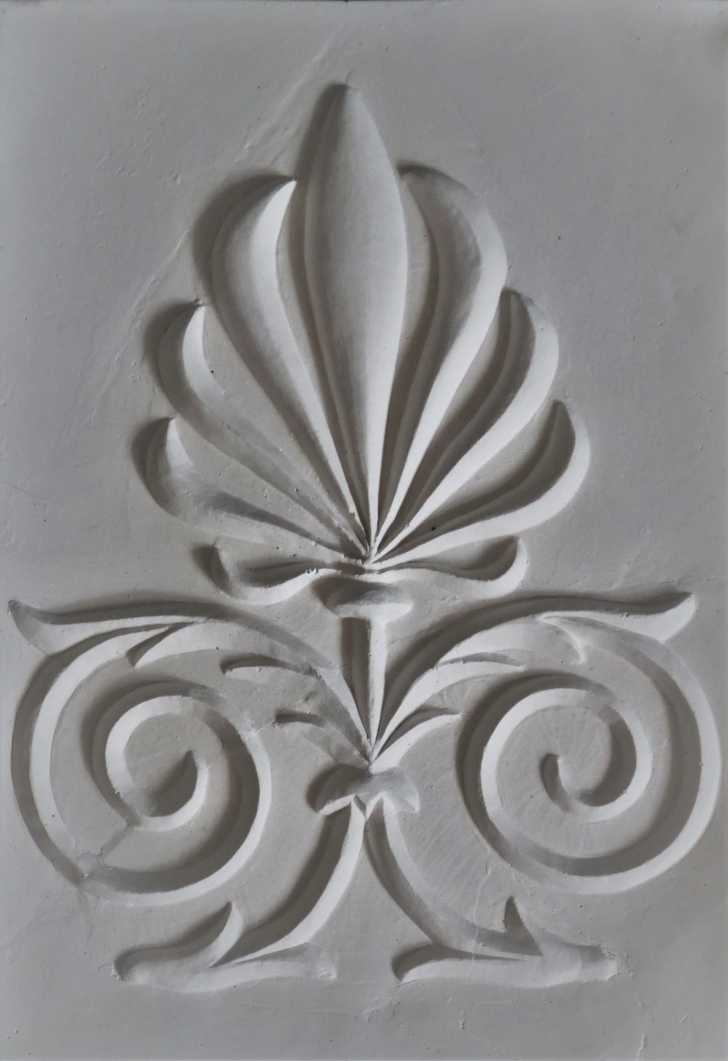 Acanthus 2.JPG