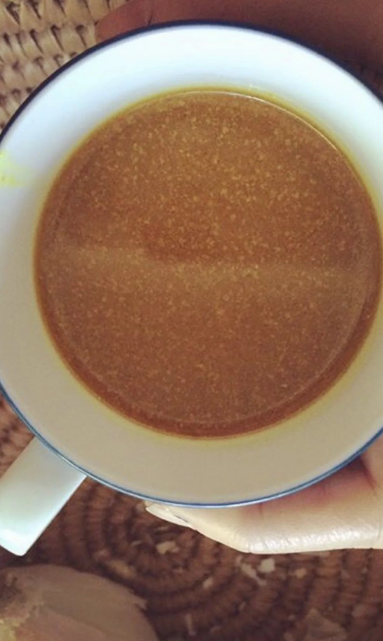 Healing Bone Broth, Phaedra Taylor