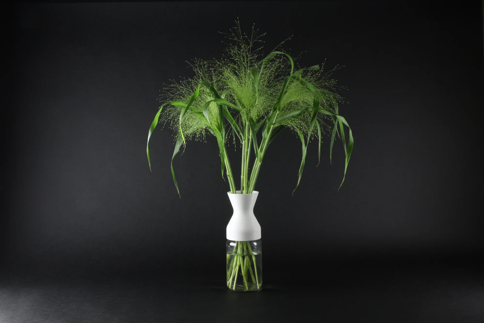 irmi-mit-blumen.jpg