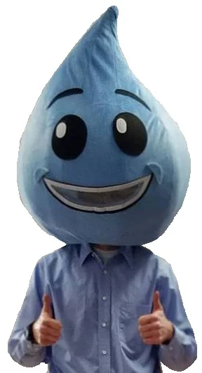 LGROW Mascot, Major Runoff