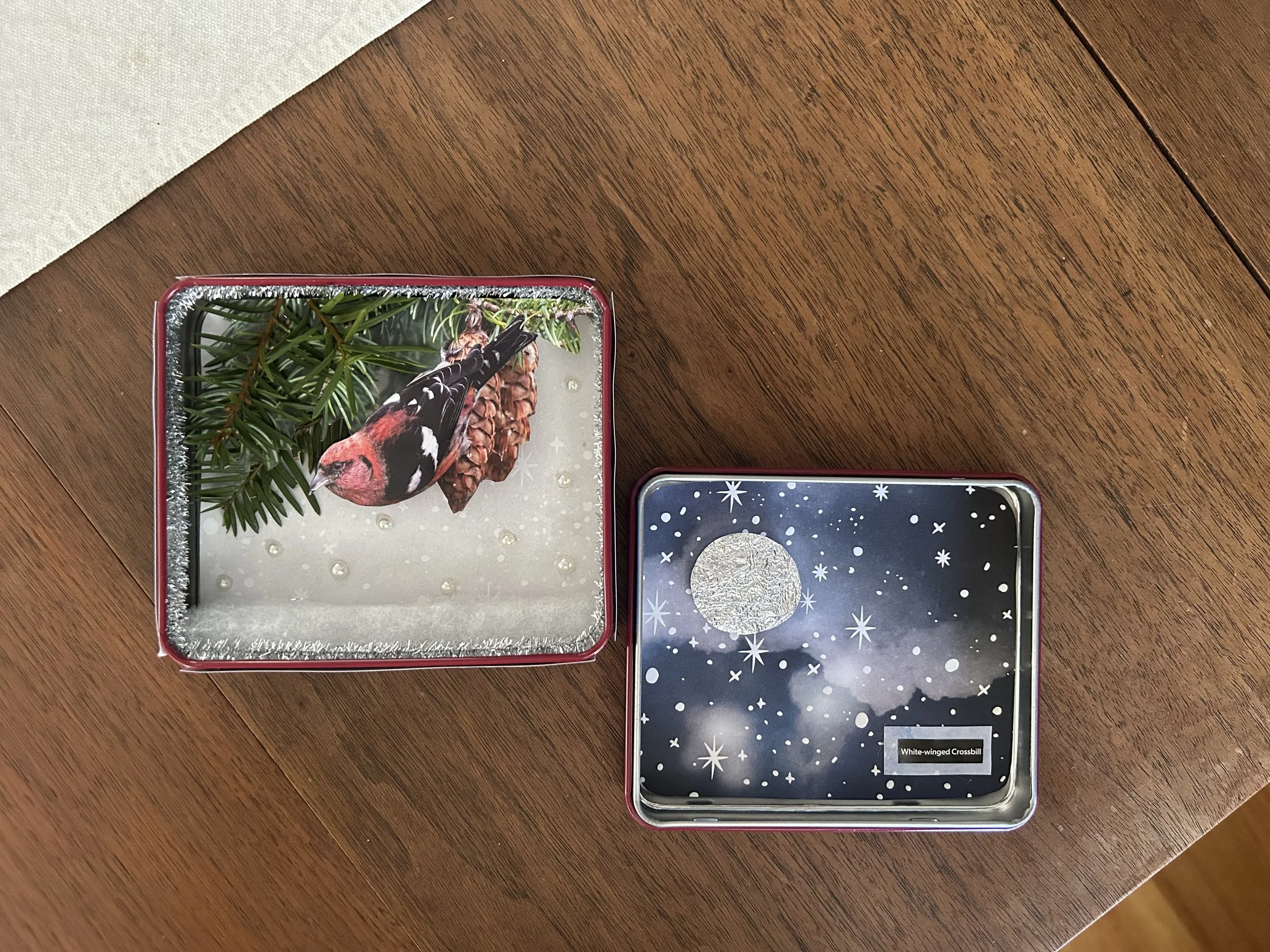 Two decorative holiday boxes on a wooden surface, one with a bird and pinecones and the other with a moon and stars design.