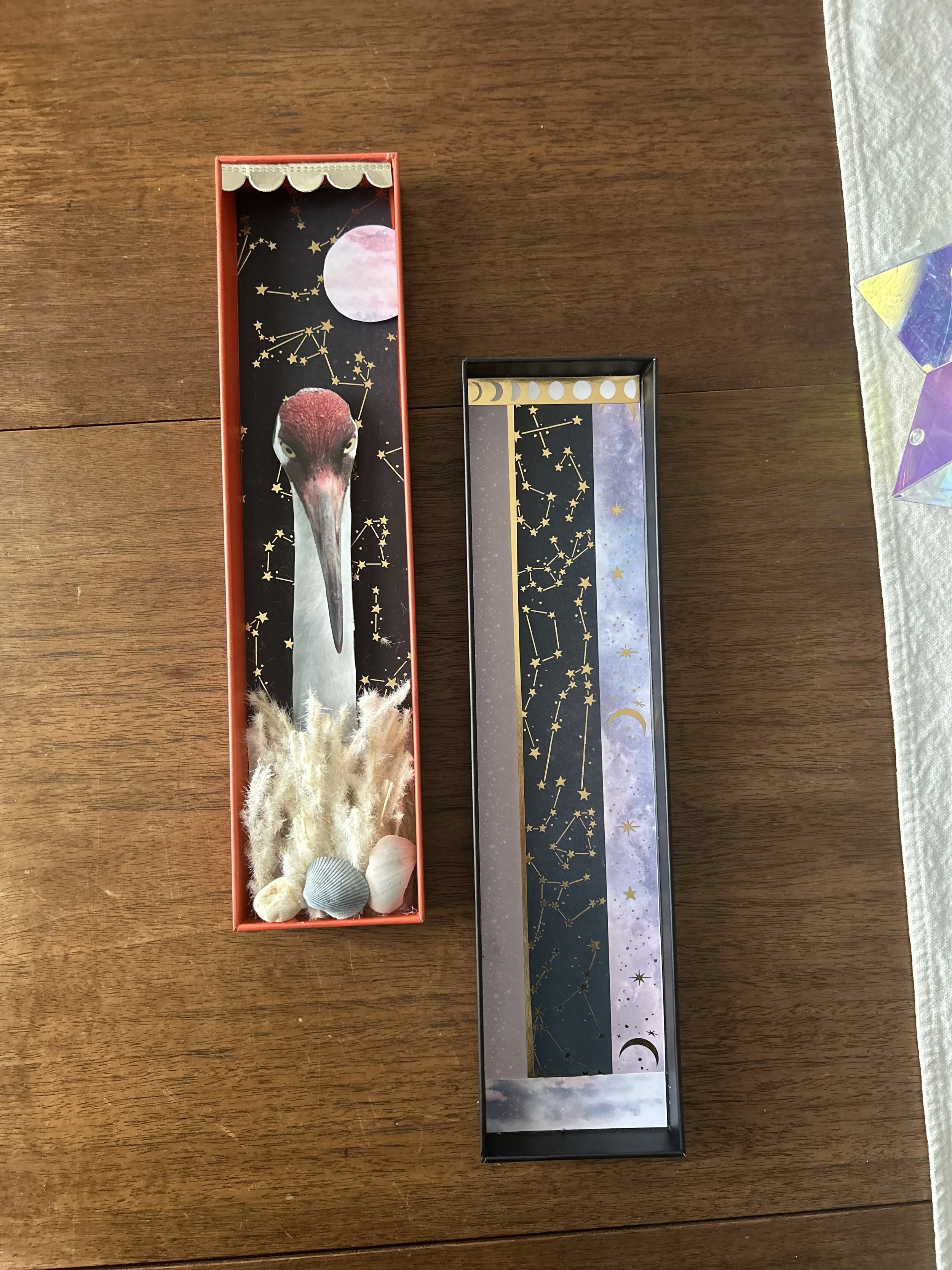 Decorative celestial-themed box with a crane's head illustration, some shells, feathers, and moon and star patterns on the inside.