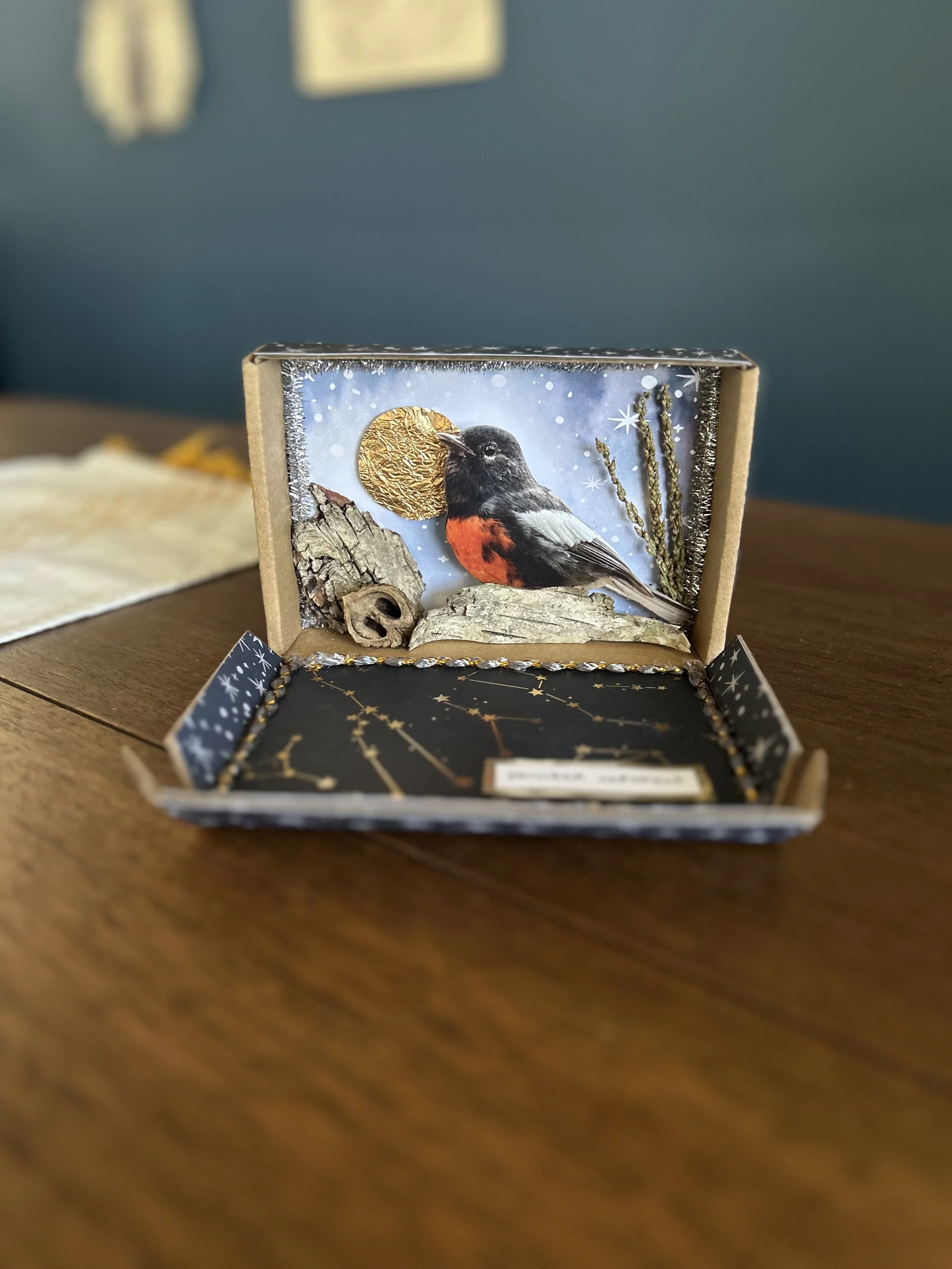 painted redstart