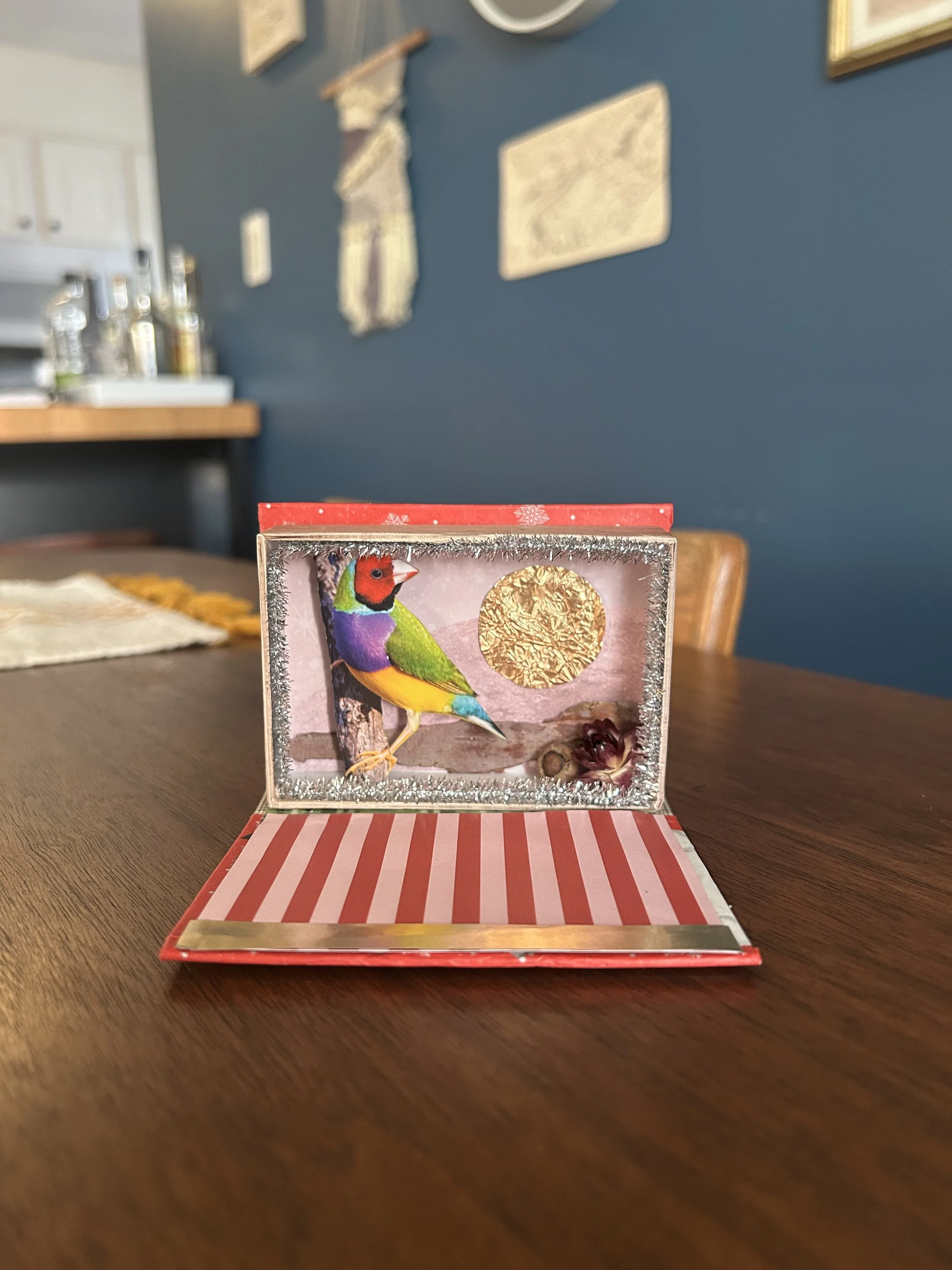 Gouldian finch