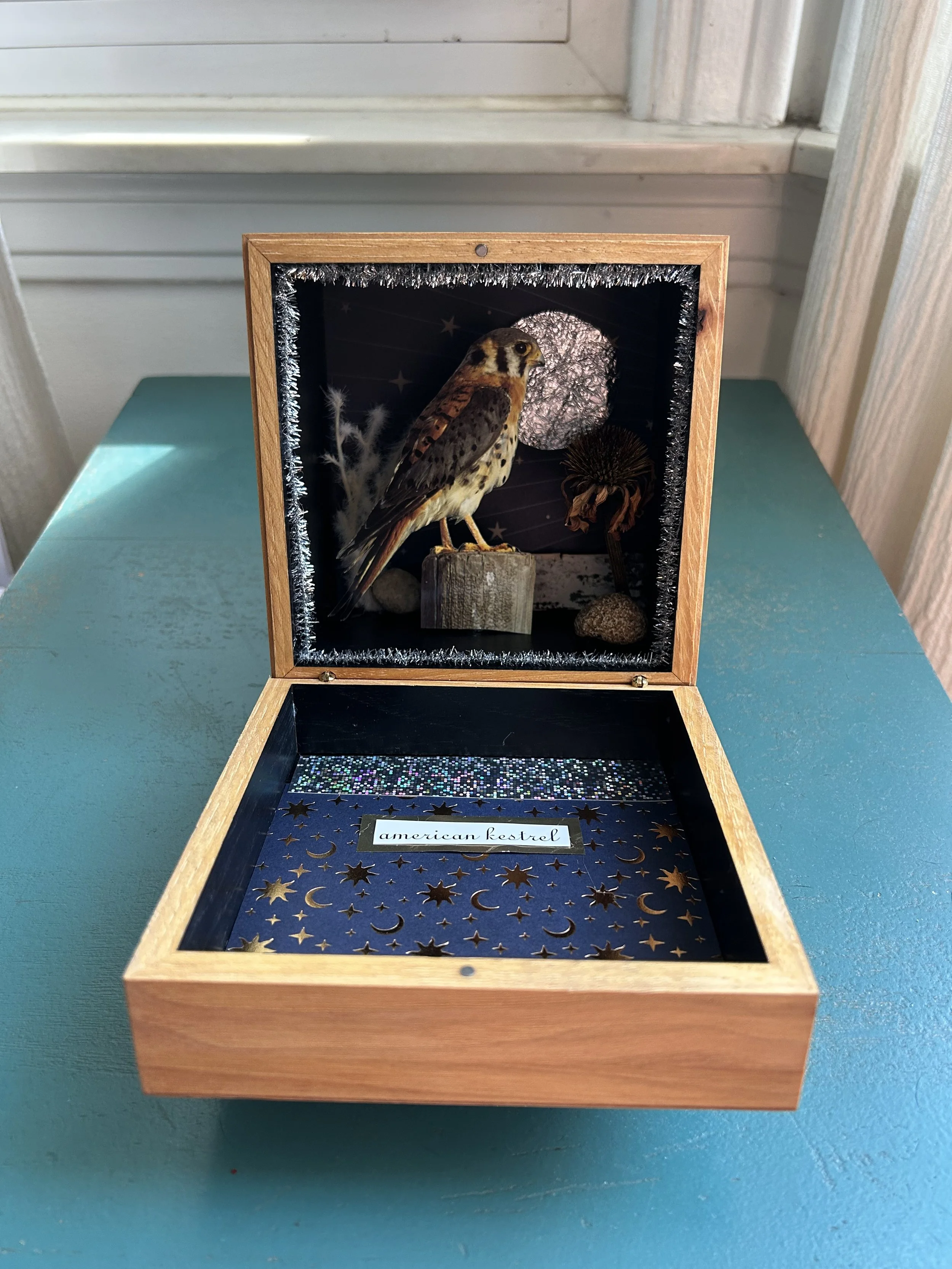 kestral