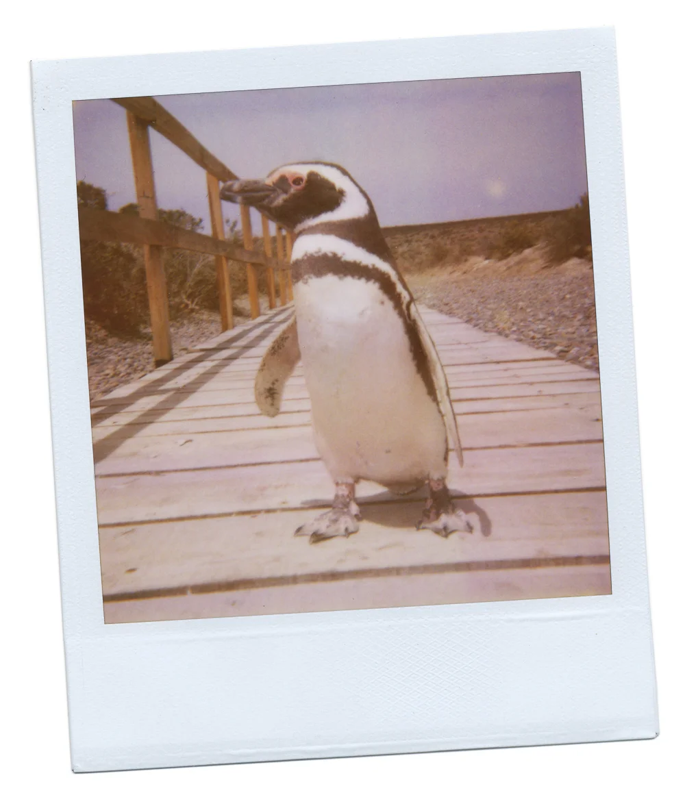 JBP_Polaroid-0016.jpg