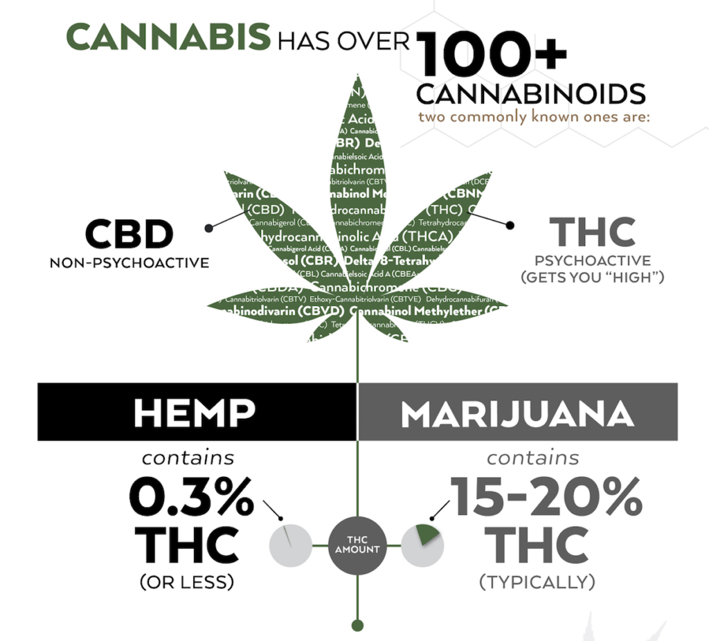 hemp-marijuana-1024x926.png
