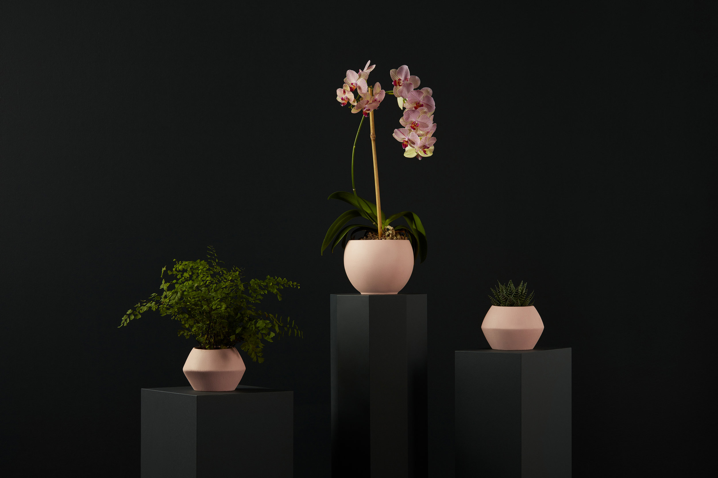 Header_04_008.jpg