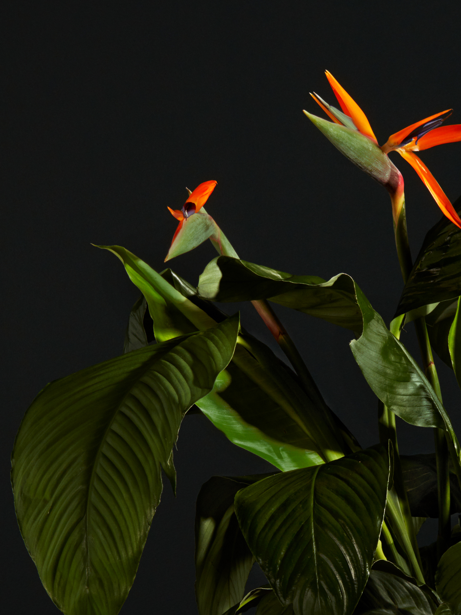 hero-image-04.jpg