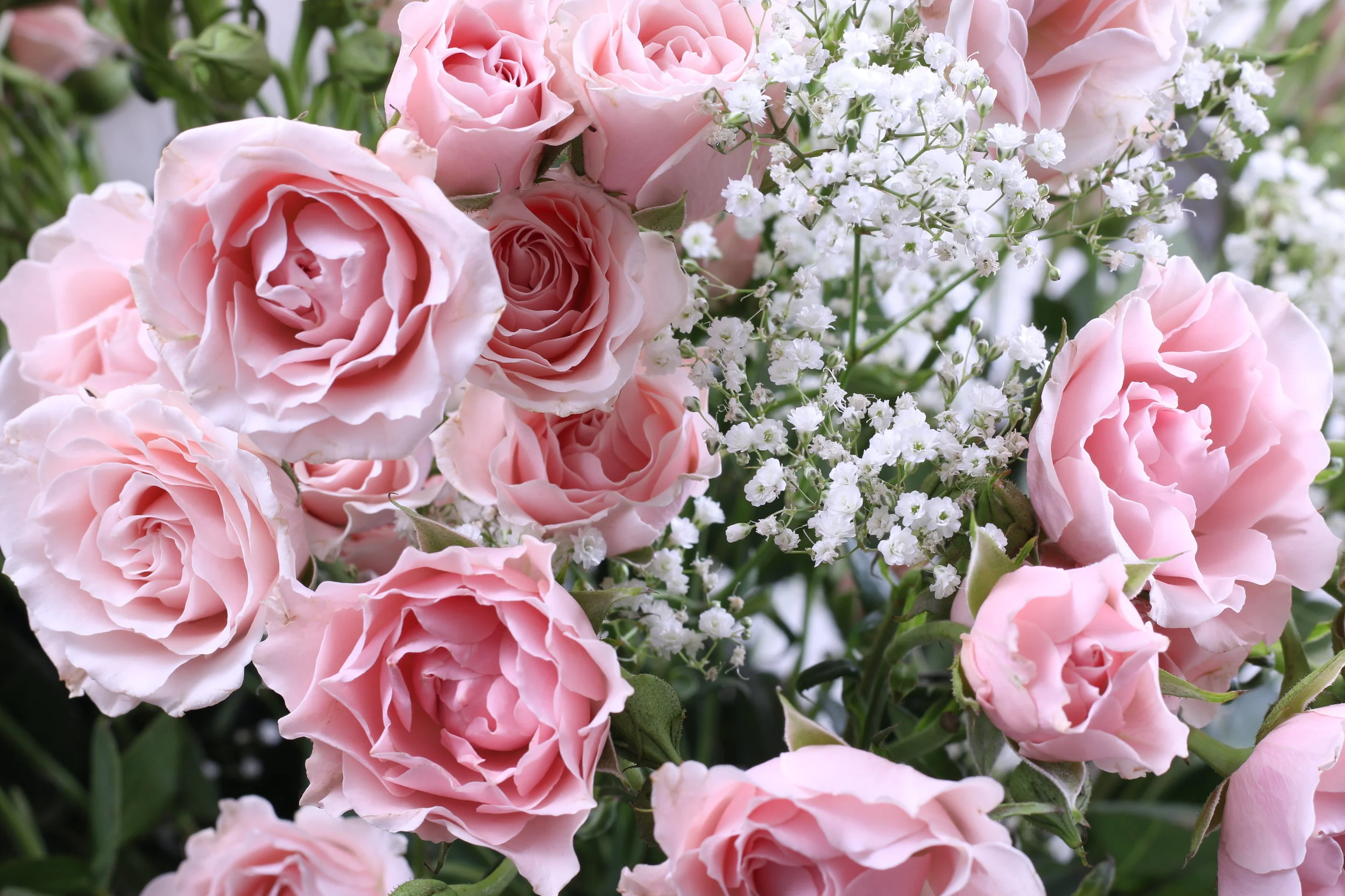 Stop & Smell the Roses