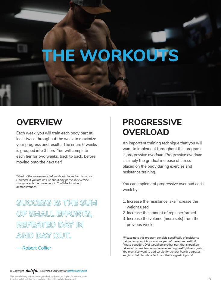 Preview_BodyBulk_0002_Vector Smart Object.jpg