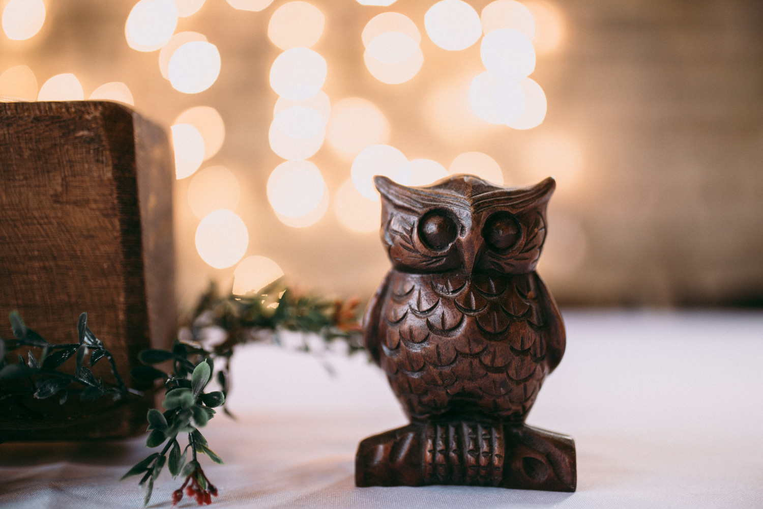 Bryden Giving Photographer, Minnesota, Destination Wedding Photographer, Christmas, Nordic, Holidays, Saint Paul, Wedding Photographer, Twin Cities