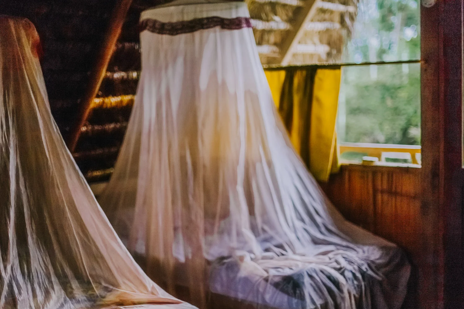 Bryden Giving Photographer, Wedding Photographer, Minneapolis, Minnesota, Saint Paul, Twin Cities, Ecuador, Amazon, Rainforest, Quito, Photojournalism, Lifestyle