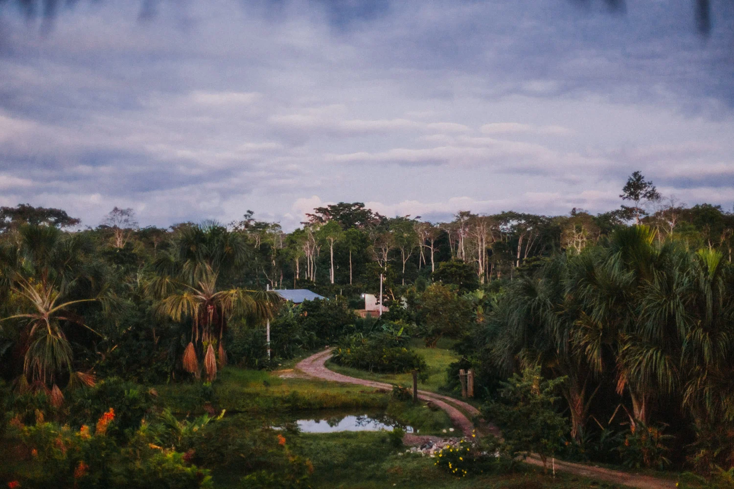 Bryden Giving Photographer, Wedding Photographer, Minneapolis, Minnesota, Saint Paul, Twin Cities, Ecuador, Amazon, Rainforest, Quito, Photojournalism, Lifestyle