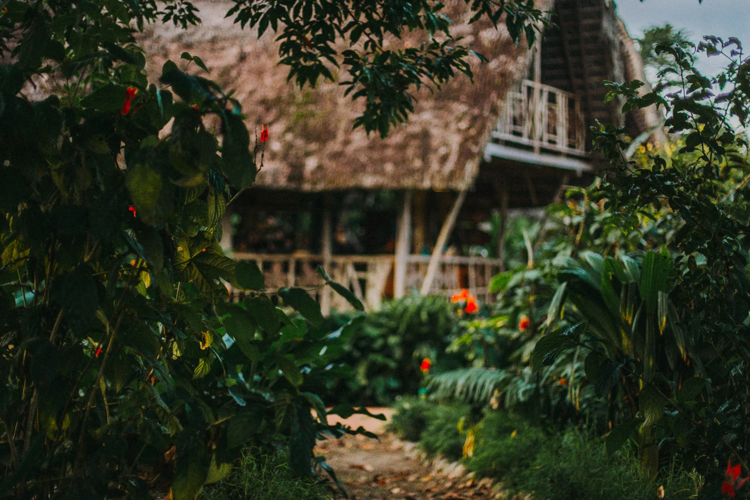 Bryden Giving Photographer, Wedding Photographer, Minneapolis, Minnesota, Saint Paul, Twin Cities, Ecuador, Amazon, Rainforest, Quito, Photojournalism, Lifestyle