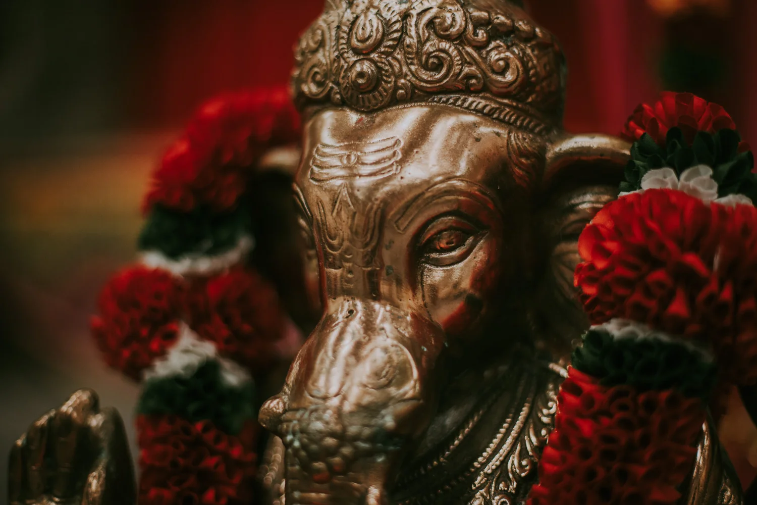 Bryden Giving Photographer-Wedding Photographer-Minneapolis-Minnesota-Saint Paul-Lifestyle-Twin Cities-Two Weddings-Indian Wedding-Hindu Wedding-Multicultural Wedding-Destination Wedding Photographer
