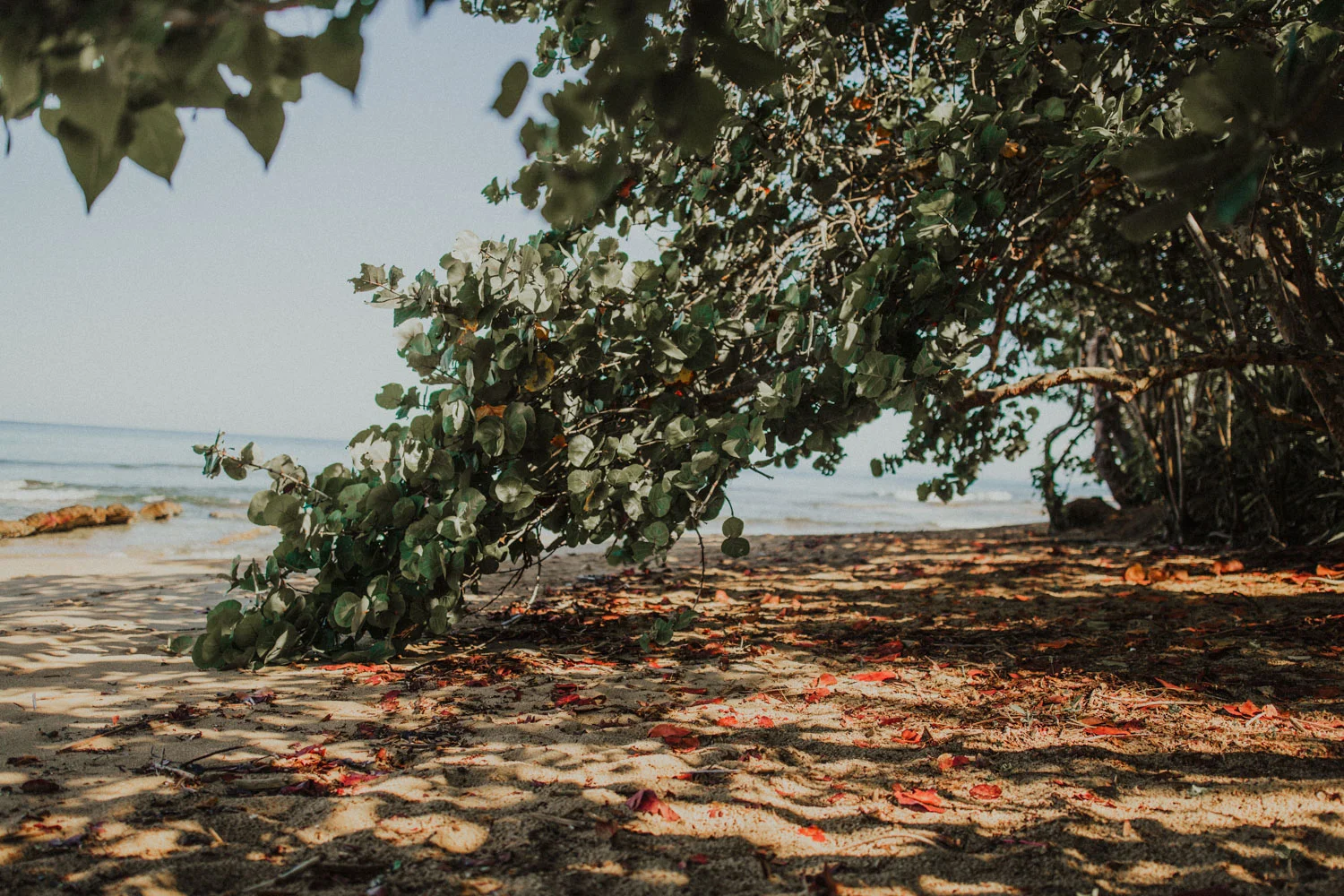 Bryden Giving Photographer-Wedding Photographer-Minneapolis-Minnesota-Saint Paul-Lifestyle-Twin Cities-Destination Wedding-Puerto Rico-Rincon-San Juan-Beach Wedding