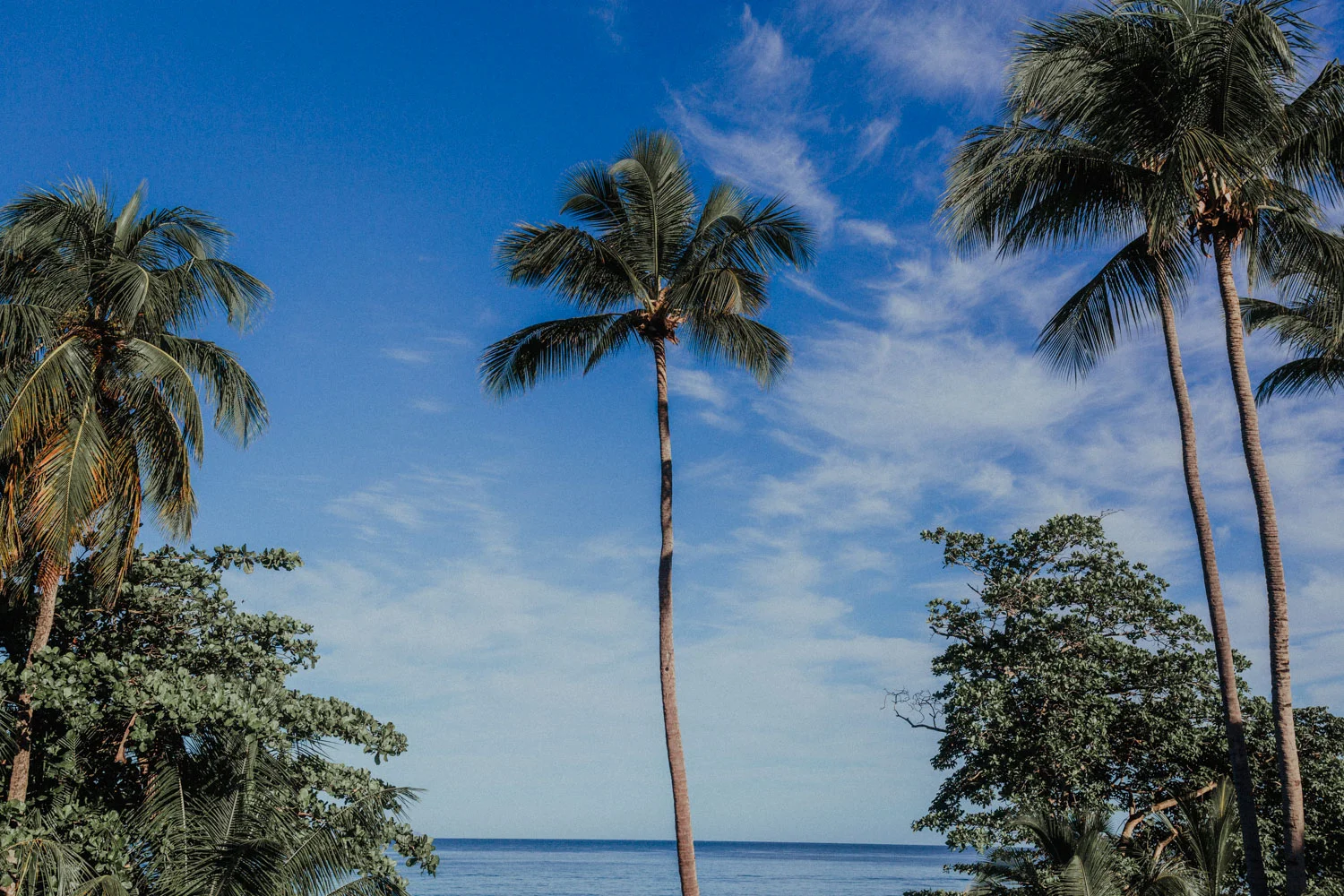 Bryden Giving Photographer-Wedding Photographer-Minneapolis-Minnesota-Saint Paul-Lifestyle-Twin Cities-Destination Wedding-Puerto Rico-Rincon-San Juan-Beach Wedding