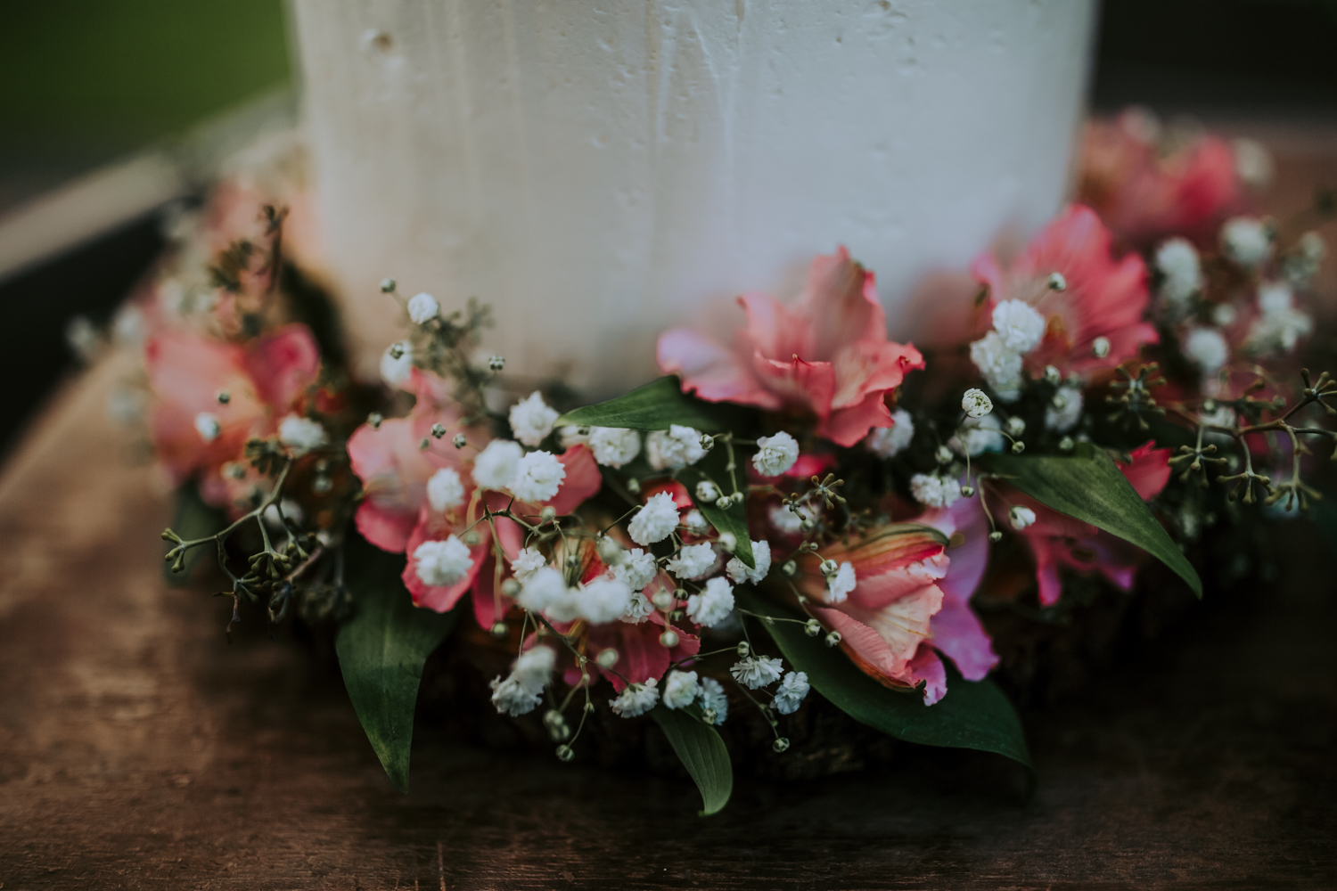 Bryden Giving Photographer-Wedding Photographer- Minneapolis-Minnesota-Saint Paul-Lifestyle-Twin Cities-Destination Wedding-Wisconsin-Brule River Barn-Wedding-Gustavus Adolphus College