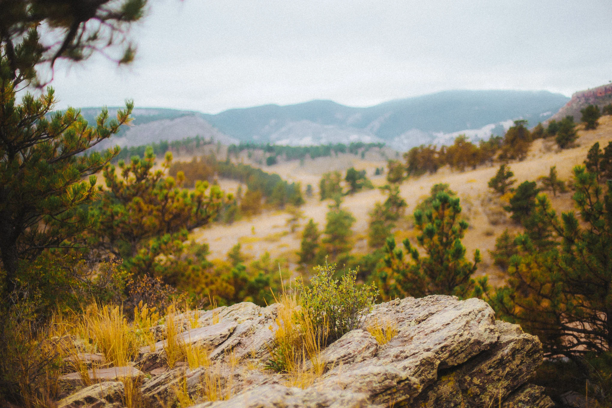 colorado, destination wedding, bryden giving photographer, lionscrest manor, boulder, denver, wedding photography, destination wedding, elopment