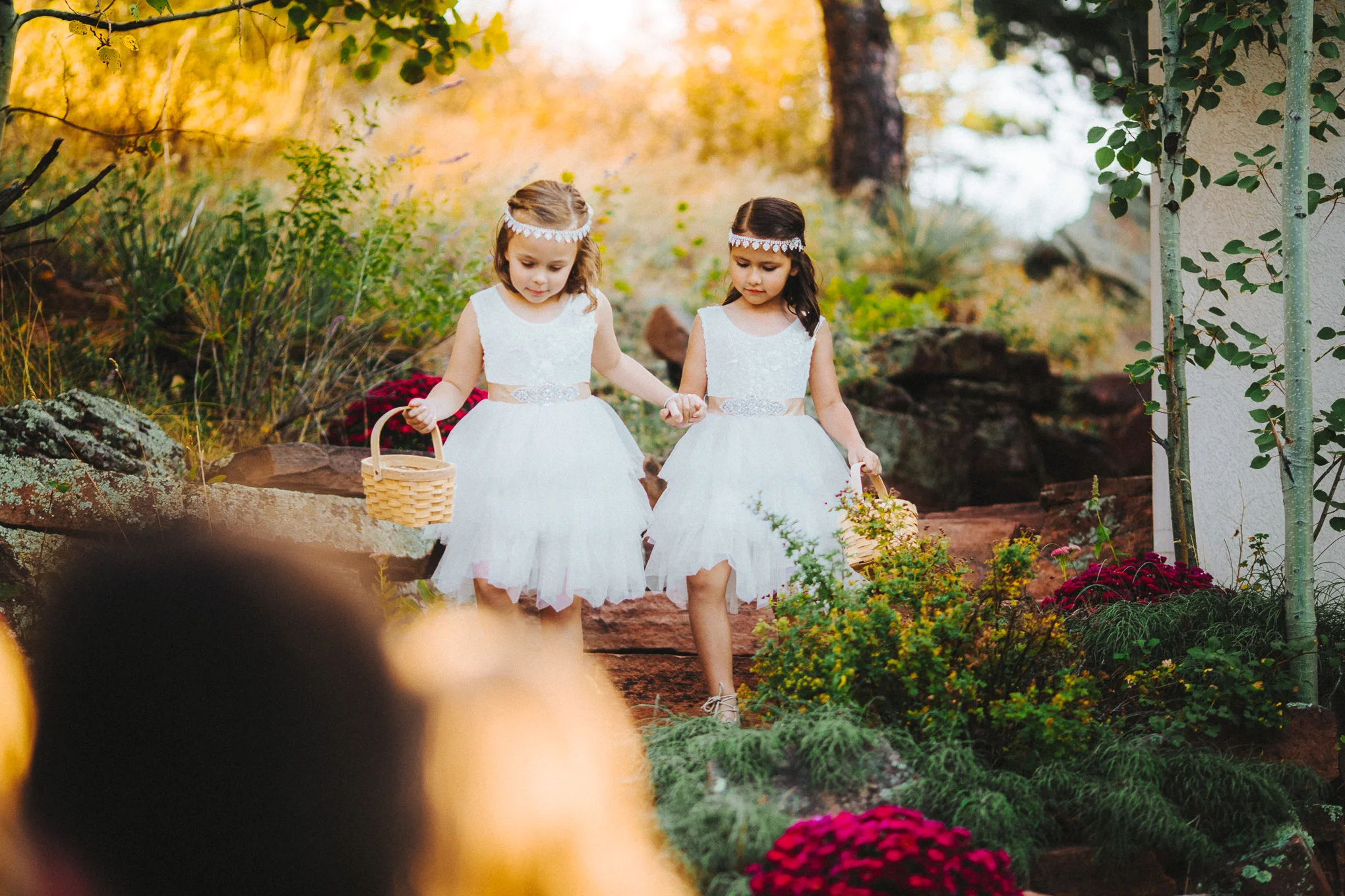 colorado, destination wedding, bryden giving photographer, lionscrest manor, boulder, denver, wedding photography, destination wedding, elopement