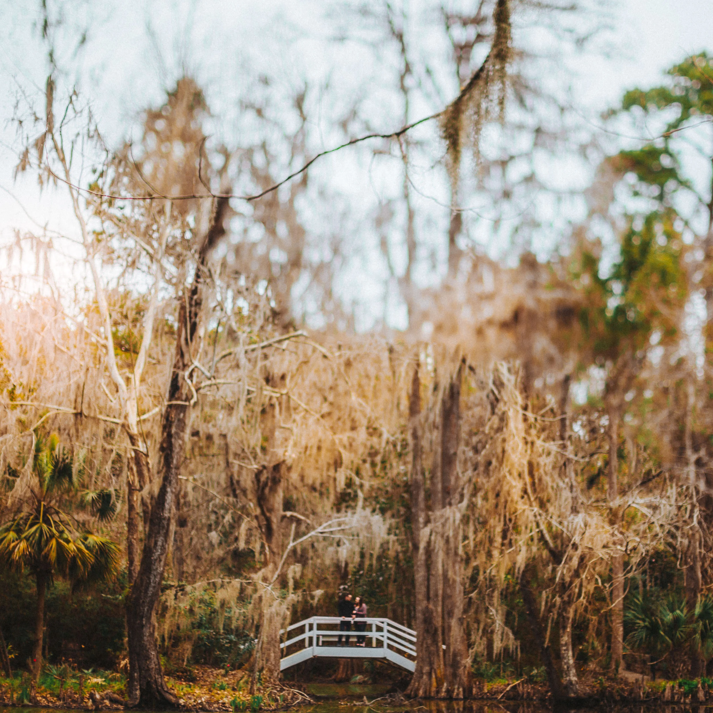 charleston engagement session, zack and ashley, bryden giving photographer, destination wedding, south carolina, portrait, twin cities photographer