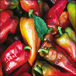 pepper.jpg