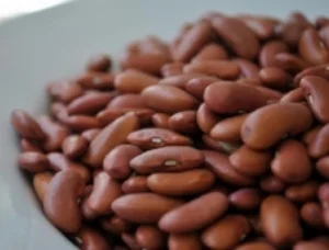 Rice-and-Beans.jpg