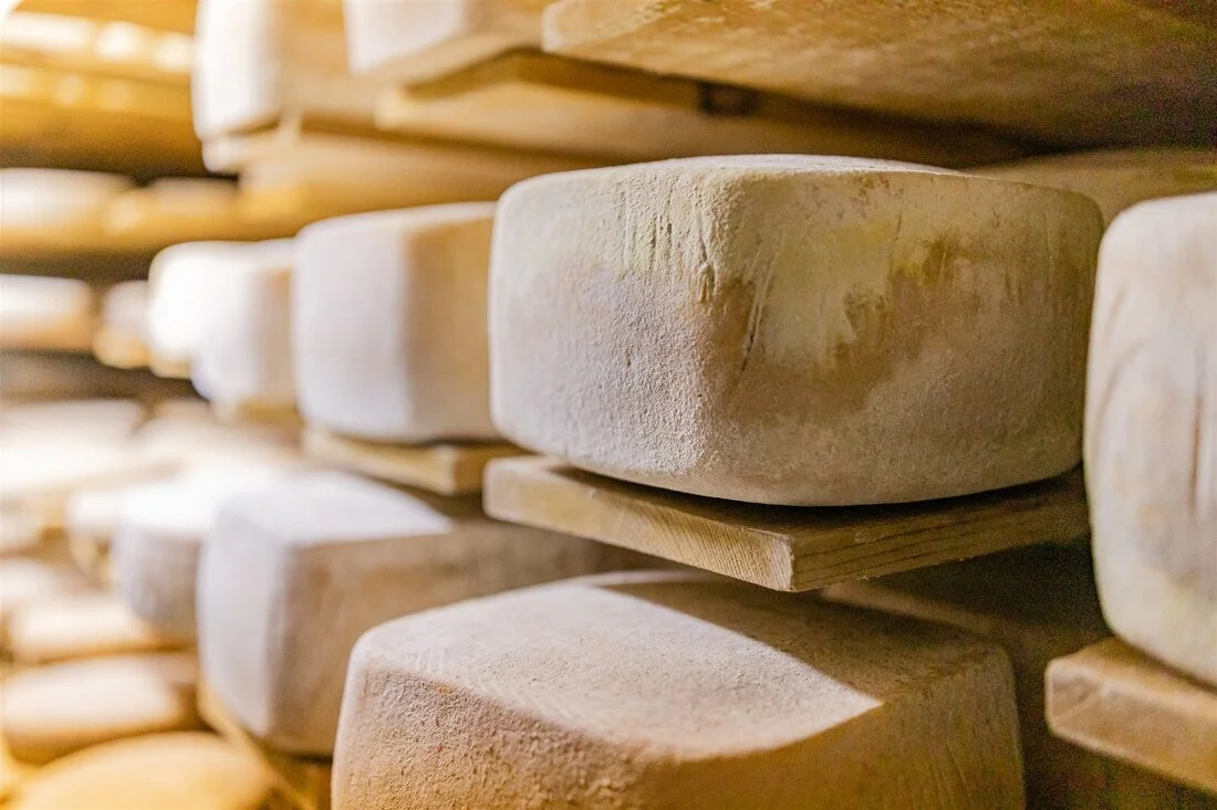 Summervale - Cheese [POSTPONED TIL AUGUST 26TH]