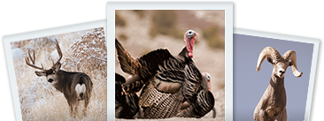 hunting_intro_photo.png