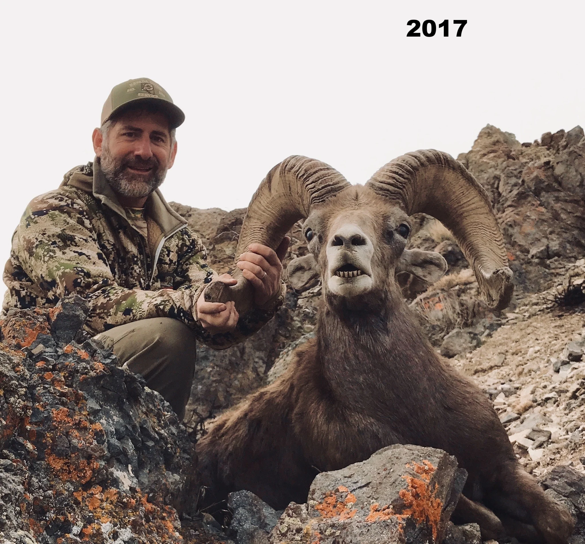 big-horn-sheep-hunt.jpg