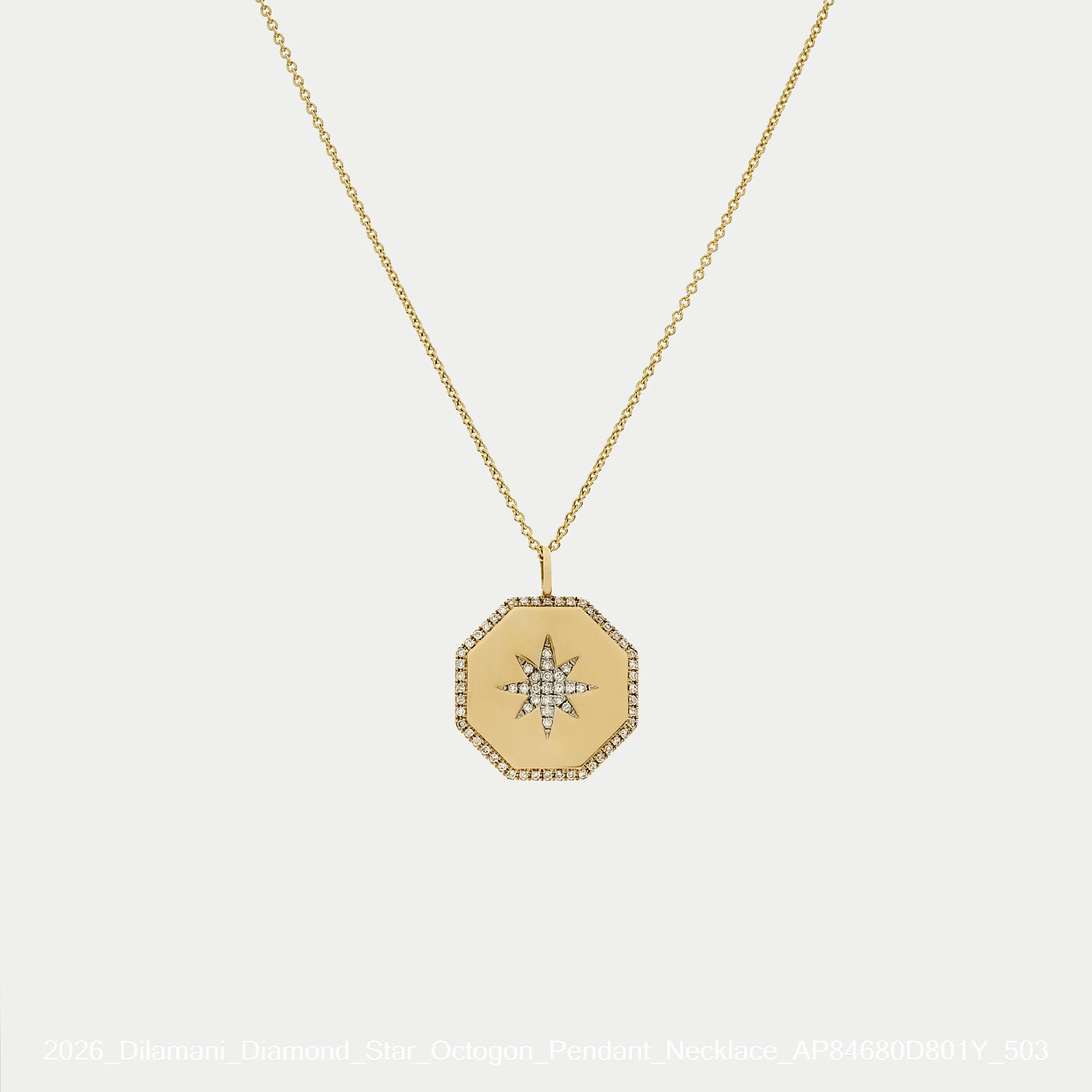 2026_Dilamani_Diamond_Star_Octogon_Pendant_Necklace_AP84680D801Y_503.jpg