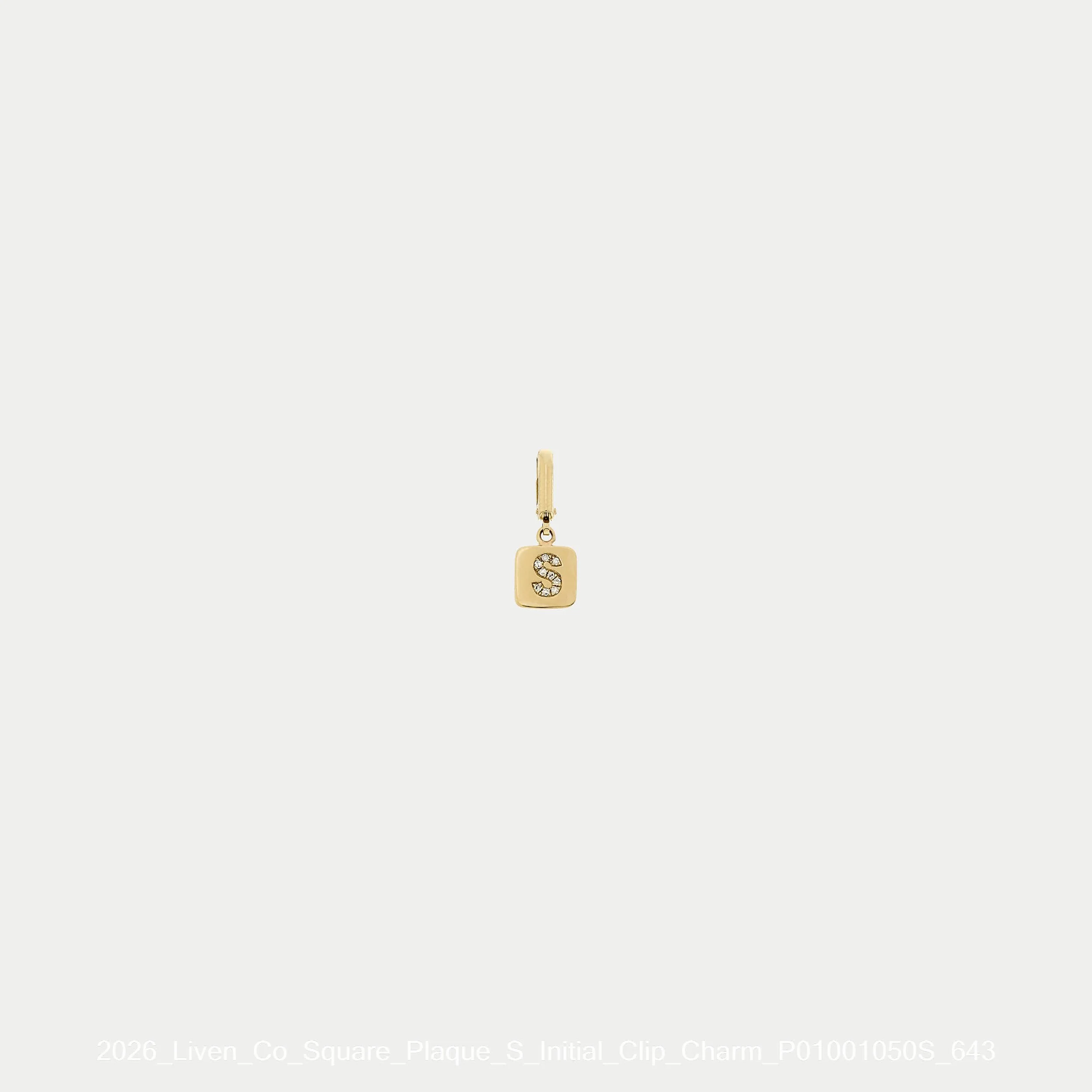 2026_Liven_Co_Square_Plaque_S_Initial_Clip_Charm_P01001050S_643.jpg