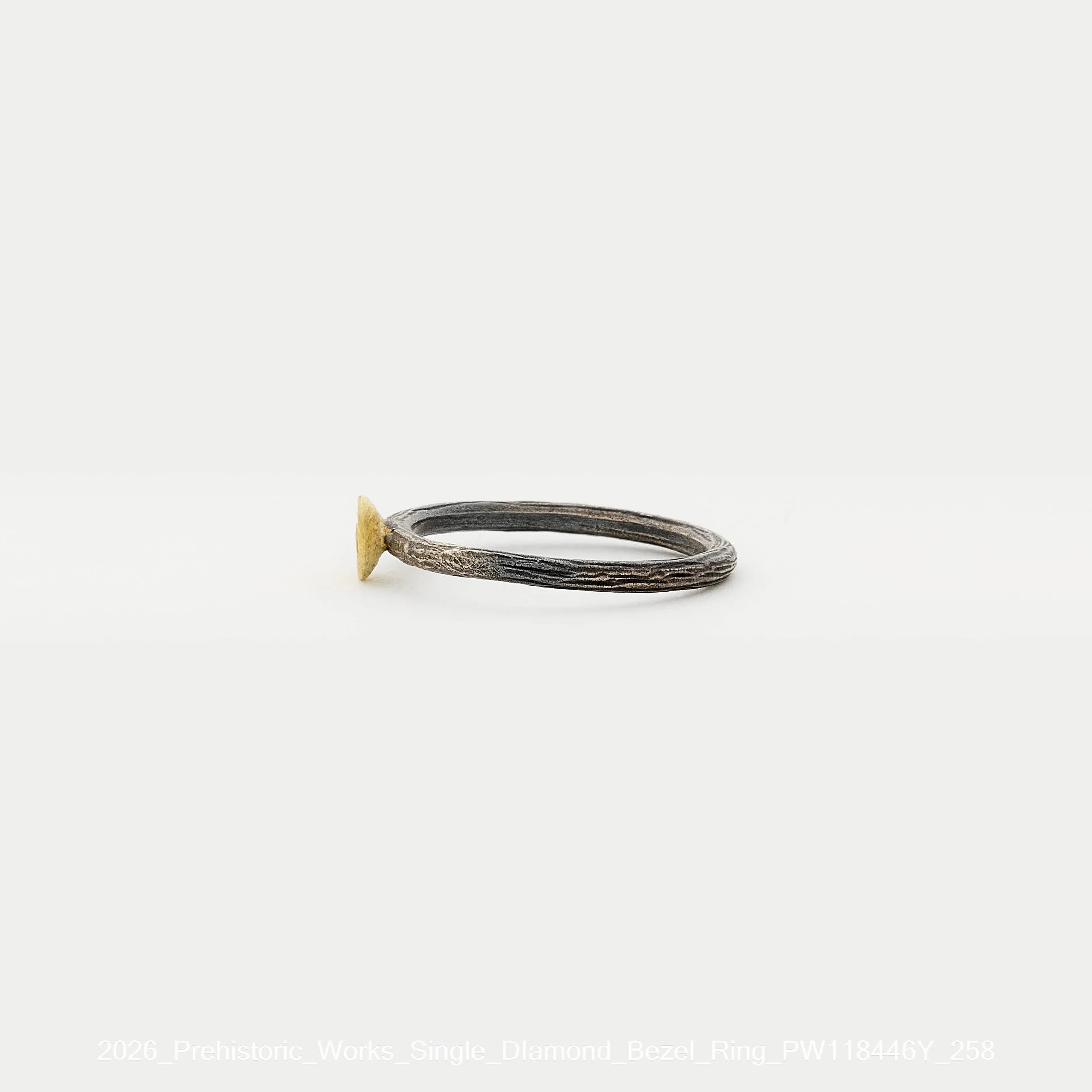 2026_Prehistoric_Works_Single_DIamond_Bezel_Ring_PW118446Y_258.jpg